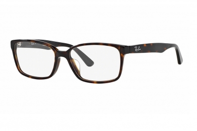 RAY-BAN RB5290D F-RAY 5290D-2012(55CN)